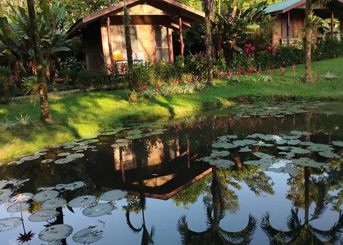 Rincon Verde