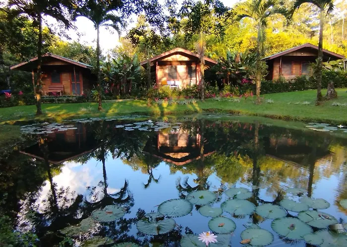 Rincon Verde