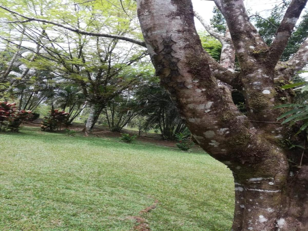 Rincon Bijagua