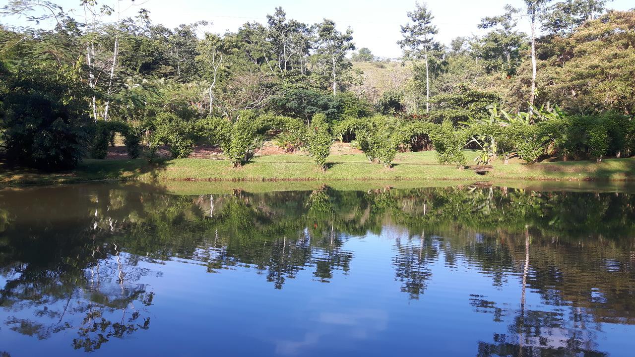 Rincon