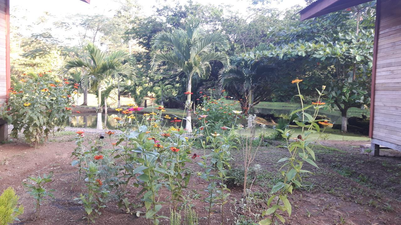 Rincon Lodge *
