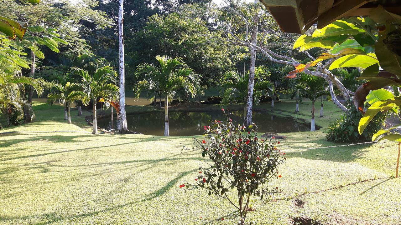 Rincon Bijagua
