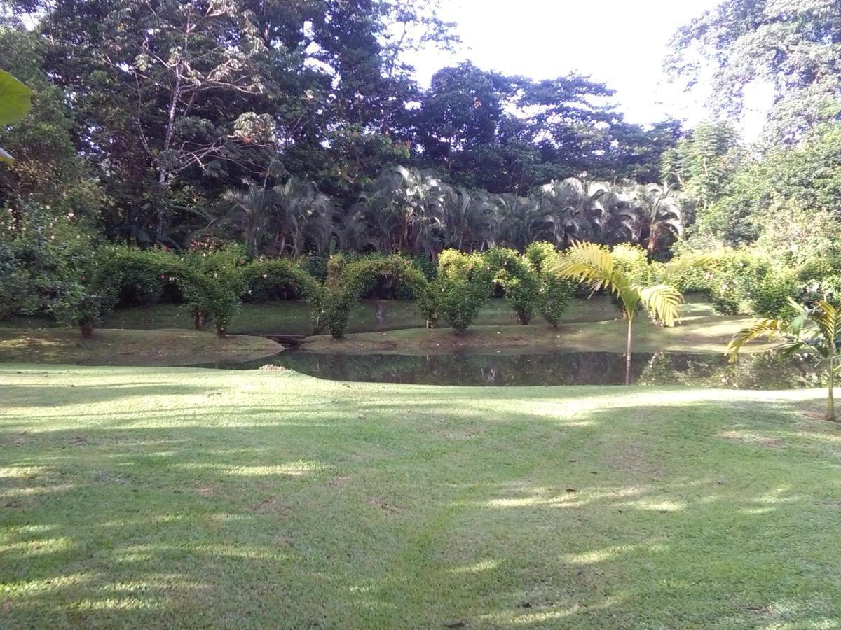 Rincon Bijagua