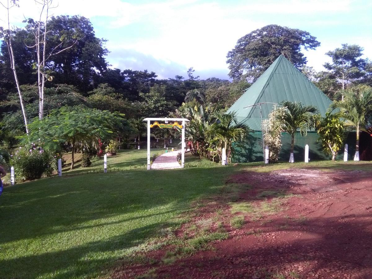 Rincon *