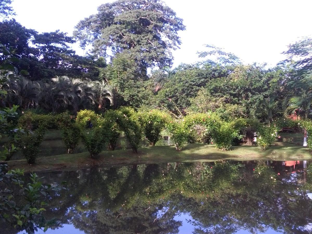 Rincon Lodge *