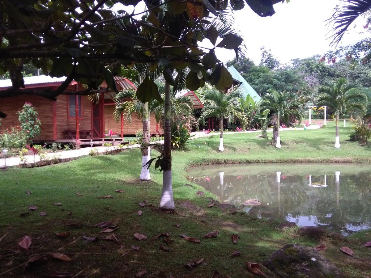 Rincon Bijagua